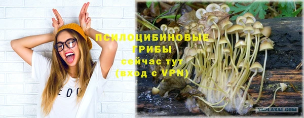 первитин Горняк