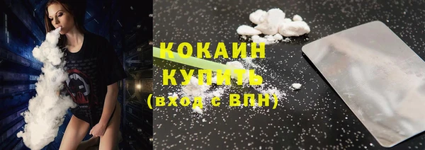 гашик Гусь-Хрустальный